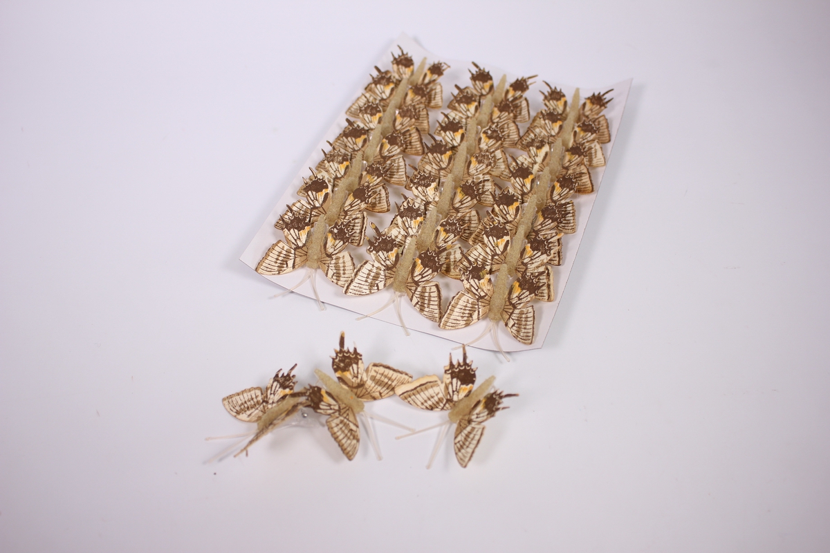 Бабочки  декоративные 5см деревянные на прищепке (24 шт в уп)
