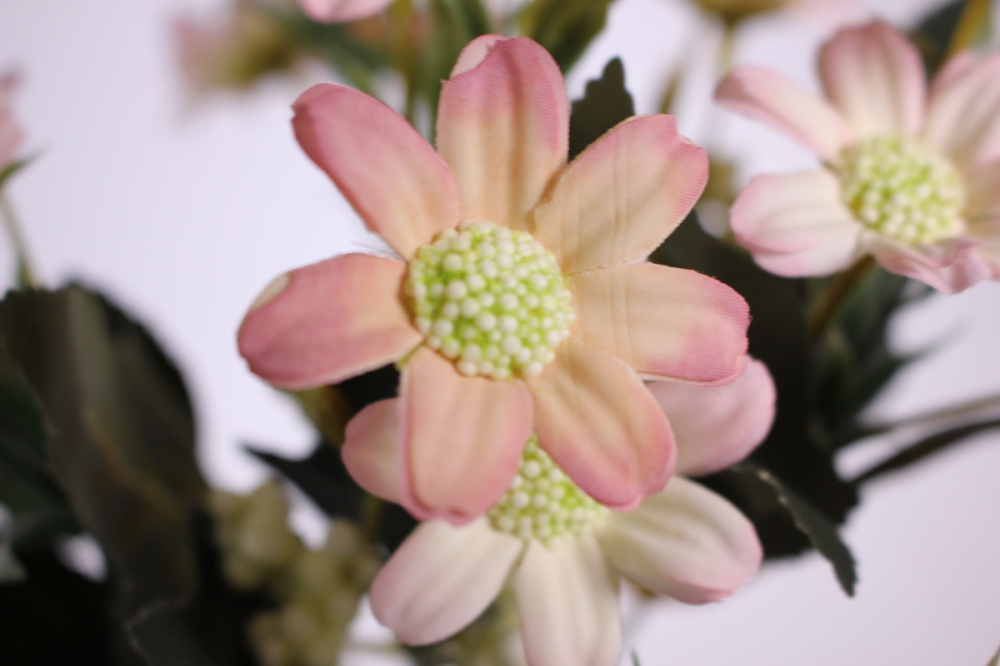 букет цветов ромашка 30см - розовая kwy579 2600