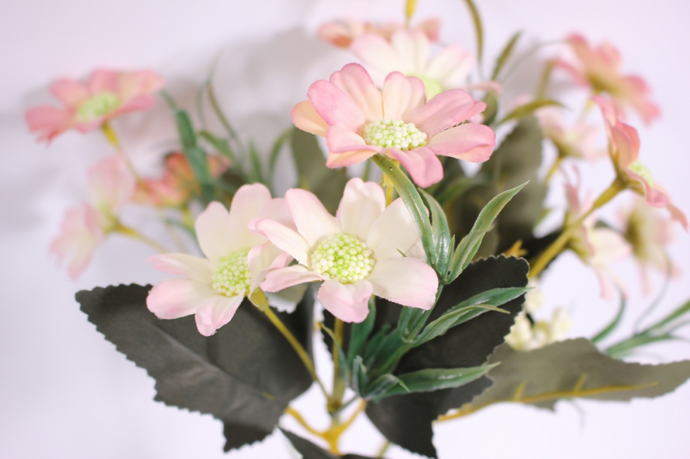 букет цветов ромашка 30см - розовая kwy579 2600