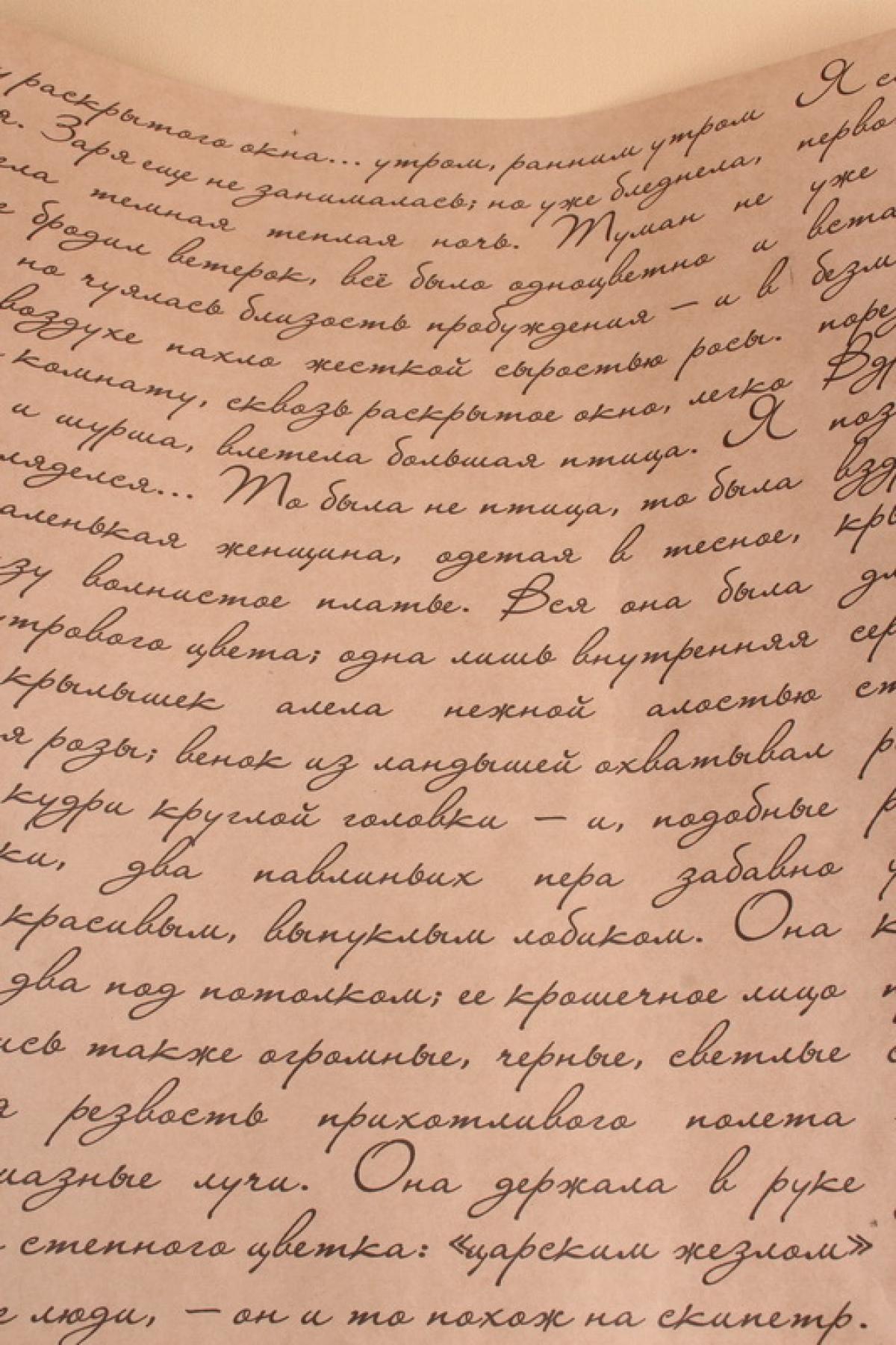 Бумага крафт 70г/м2, 70см x 10м, Муза, черный		00106676