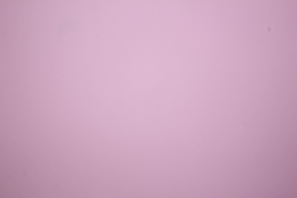 фоамиран - набор 5 листов, 30*35см, цвет 008 (светло-розовый)