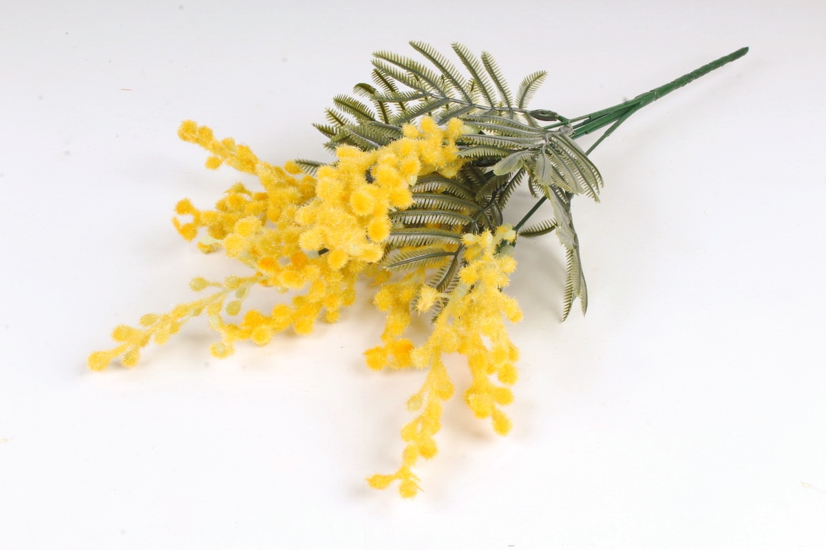 Срезанную мимозу надо ставить в воду. Мимоза цветок. Shishi искусственные цветы Мимоза 22812. Мимоза саженцы.