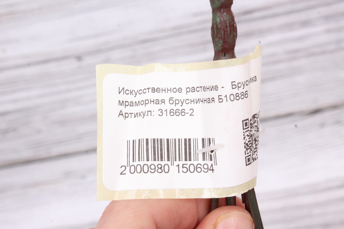 Искусственное растение -  Брусника мраморная брусничная Б10886
