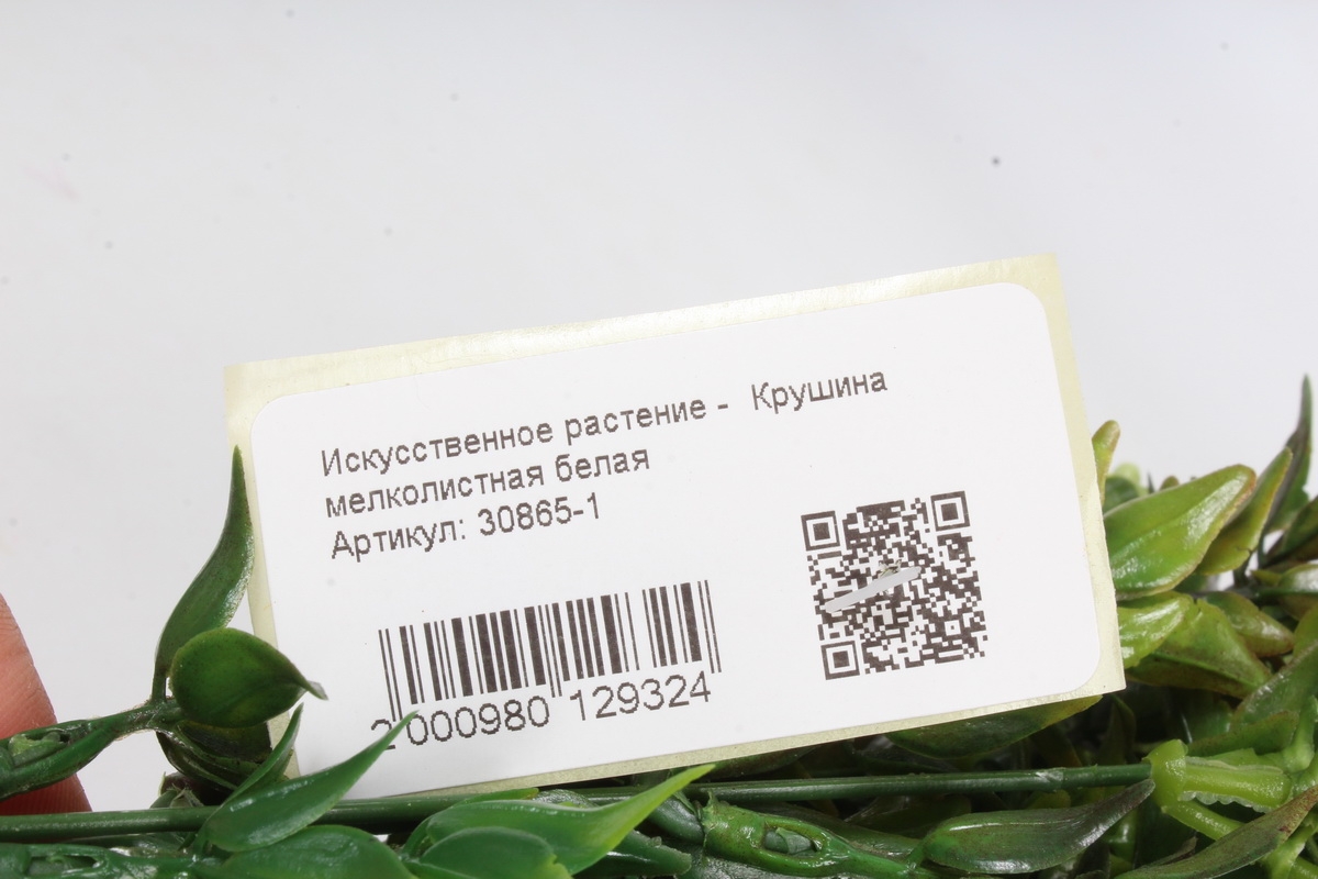 Искусственное растение -  Крушина мелколистная белая