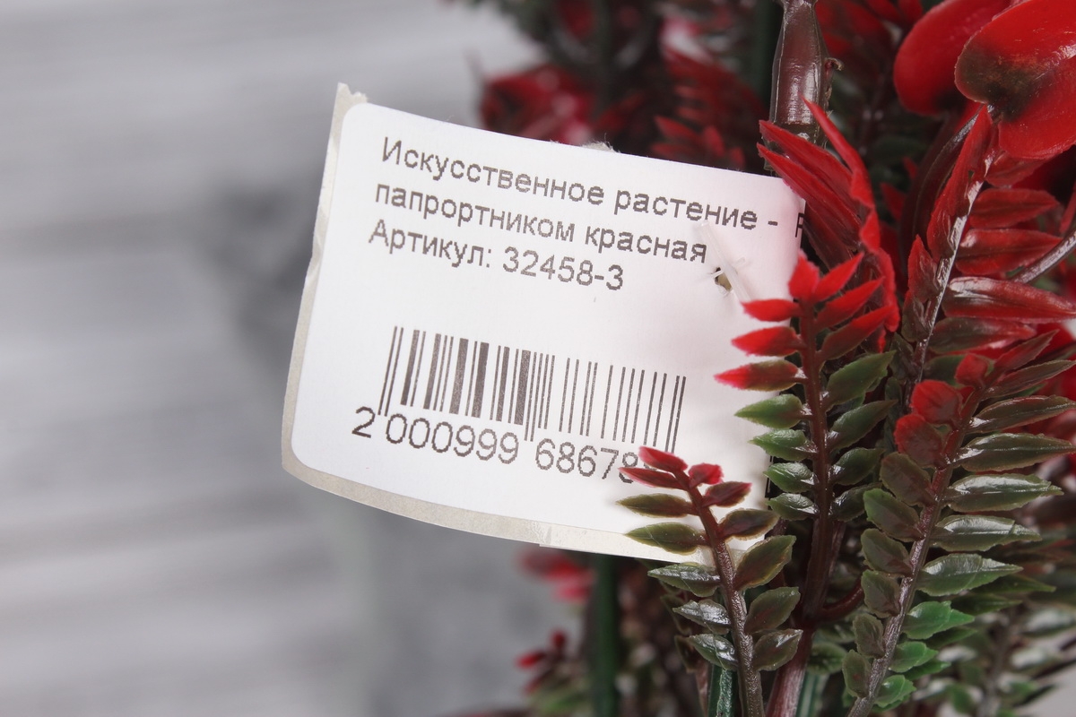 Искусственное растение -  Росянка с папрортником красная