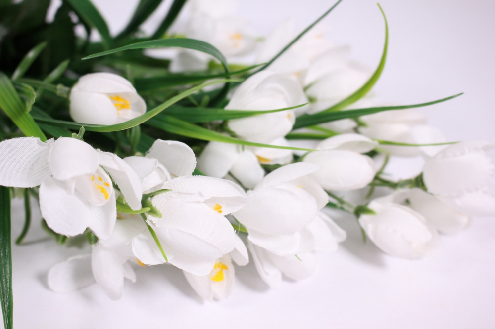 Крокус памяти мы вместе. Крокус цветок белый. Белые крокусы. Букет белых крокусов. Белые весенние цветы искусственные.