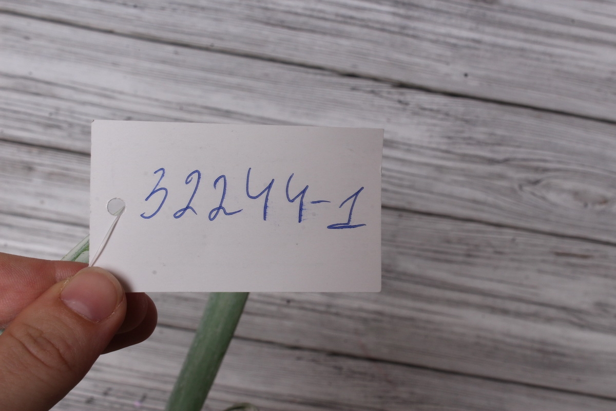 Корзина плетенная (бамбук), 26х12х30 см. светло-зеленый. Арт. 4640108809288М