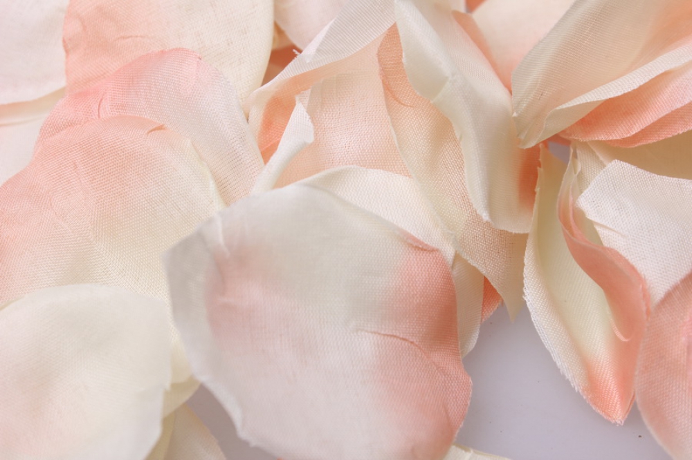 Лепестками белых роз. ЛР-002 лепестки роз персиковый. ЛР-009 лепестки роз св.розовый. ЛР-008 лепестки роз белый. Лепестки белых роз.