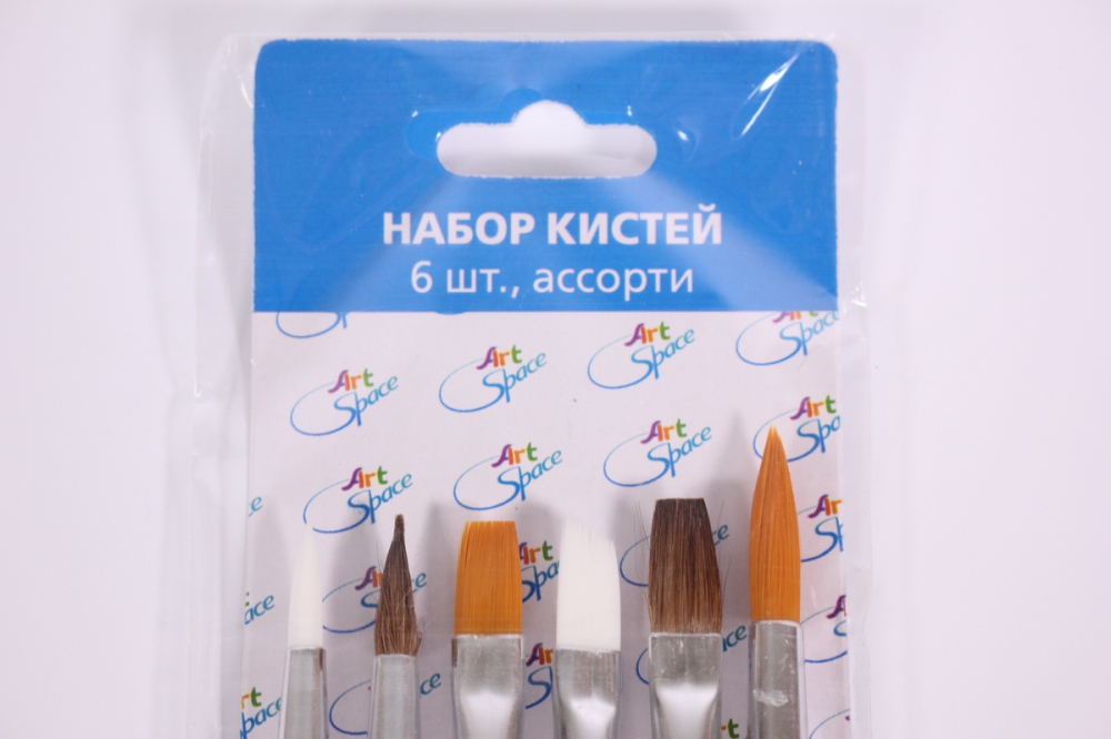 набор кистей 6 шт., пони, нейлон, плоские, круглые, европодвес: sb_3296