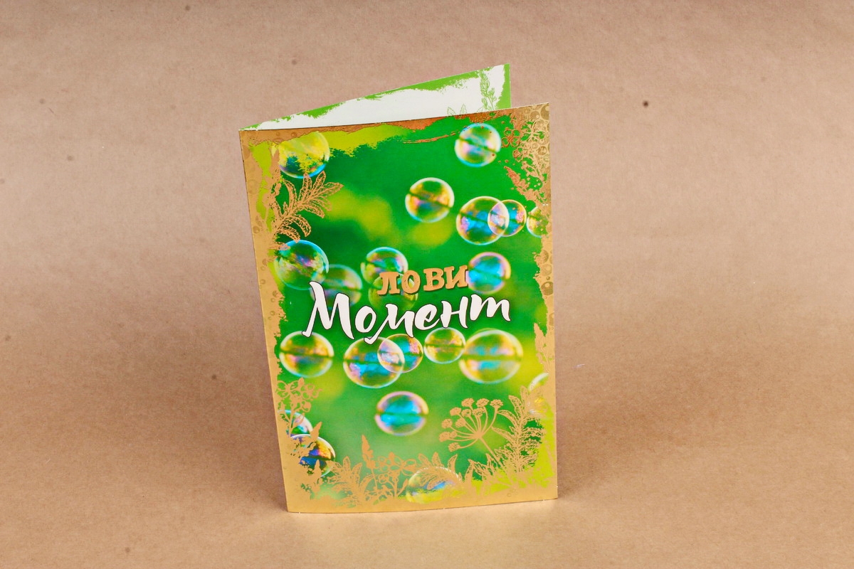 Открытка 42241 Лови Момент ср. 122х186