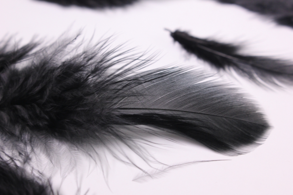Перо готов. Перья Эстетика. Черные перья. Темные перья. Белые перья Эстетика.