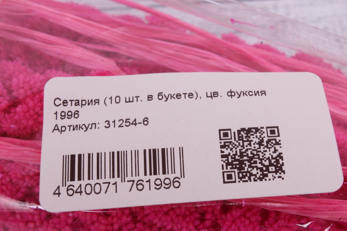 Сетария (10 шт. в букете), цв. фуксия 1996. 65см.