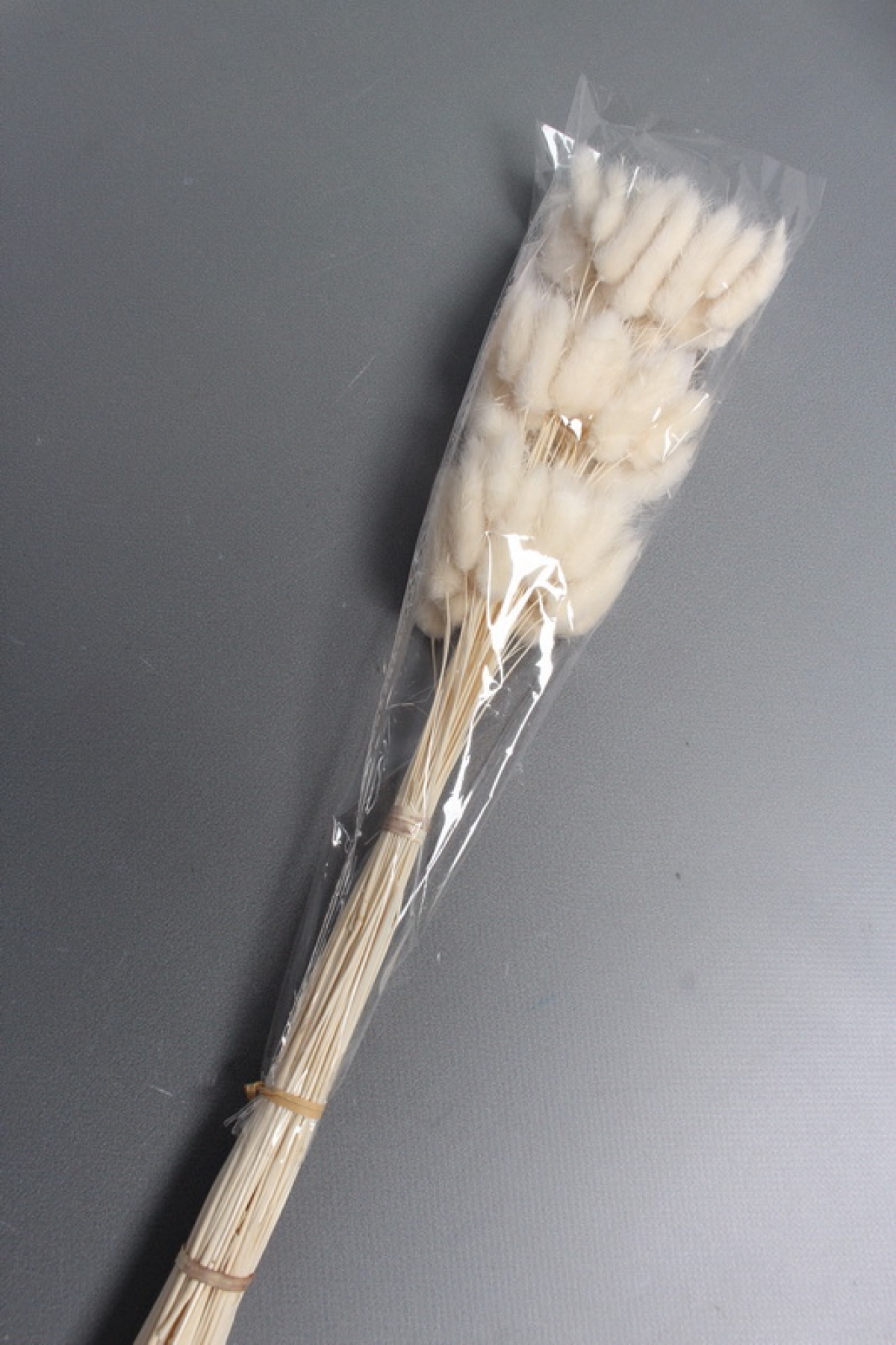 Сухоцвет "Лагурус", 60 шт в пучке, разм. цветка 5-7 см, молочный  8148М