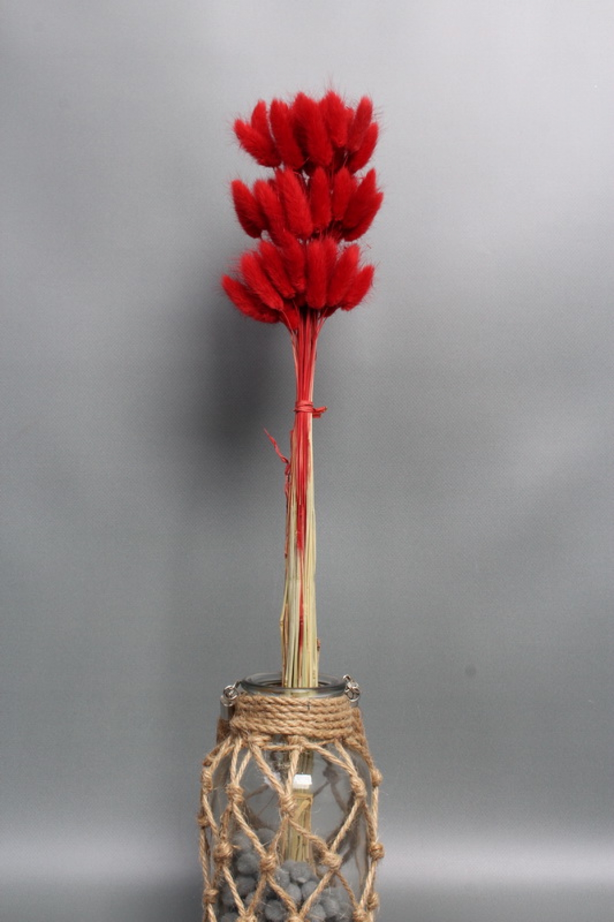 Сухоцвет "Лагурус", 60 шт в пучке, разм. цветка 5-7 см, насыщенный красный  8360М