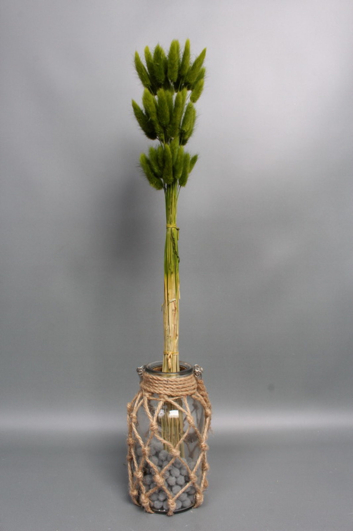 Сухоцвет "Лагурус", 60 шт в пучке, разм. цветка 5-7 см, оливковый  8345М