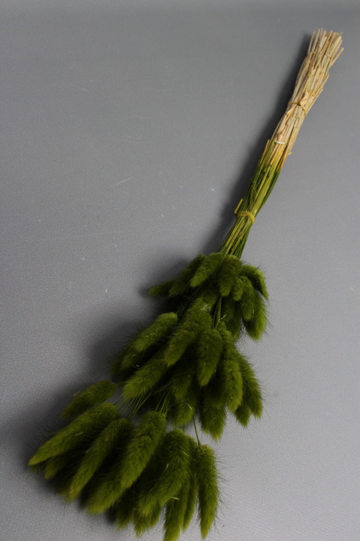 Сухоцвет "Лагурус", 60 шт в пучке, разм. цветка 5-7 см, оливковый  8345М