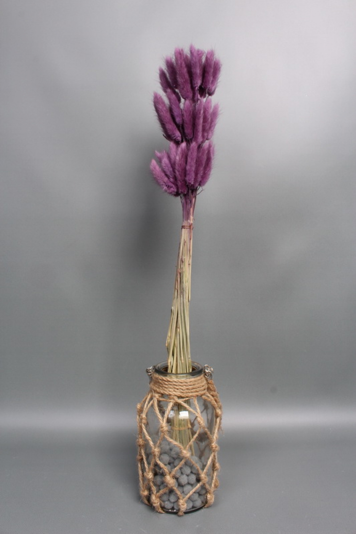 Сухоцвет "Лагурус", 60 шт в пучке, разм. цветка 5-7 см, пурпурный  4046М