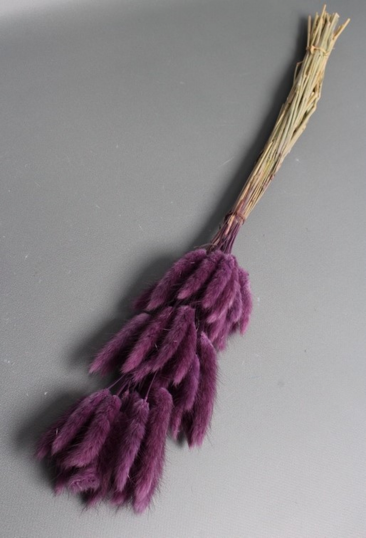 Сухоцвет "Лагурус", 60 шт в пучке, разм. цветка 5-7 см, пурпурный  4046М