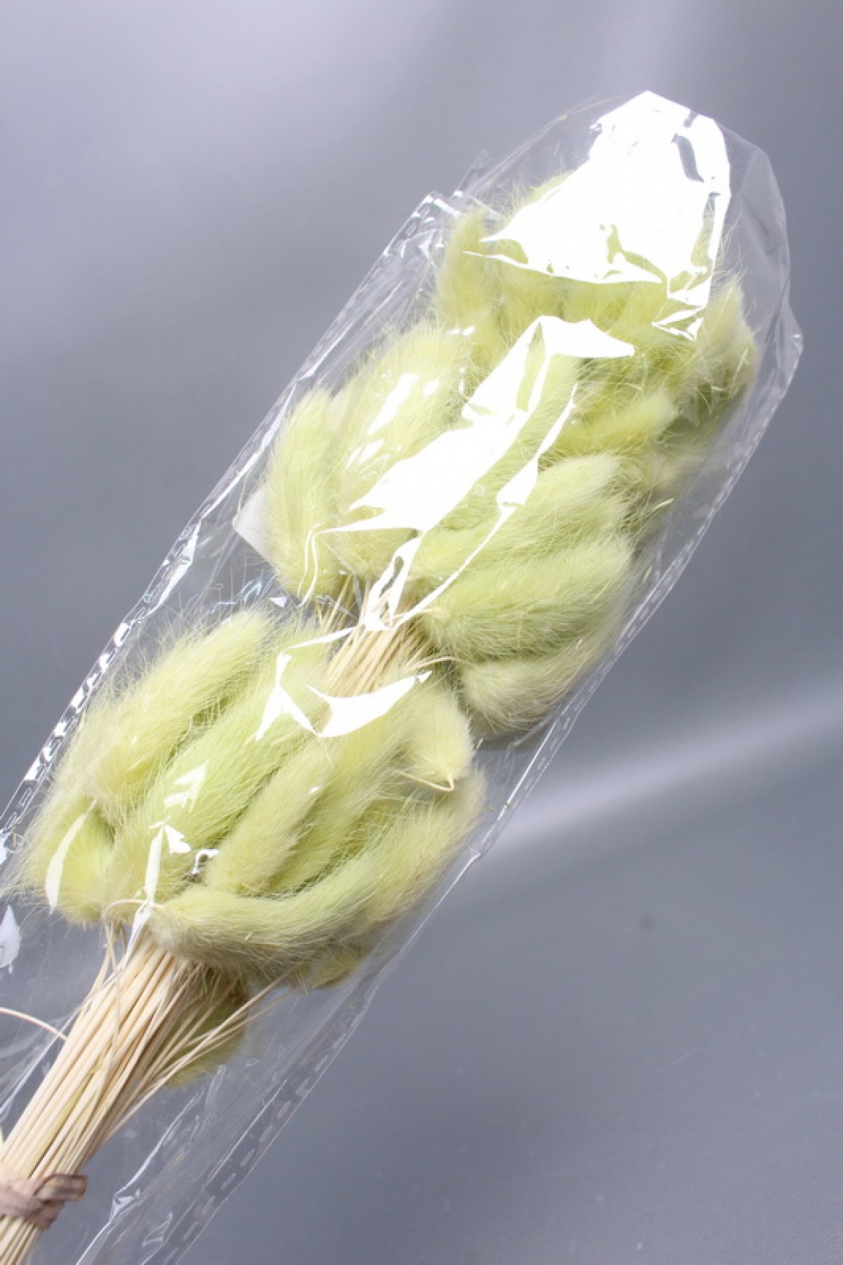 Сухоцвет "Лагурус", 60 шт в пучке, разм. цветка 5-7 см, светло-фисташковый  8247М