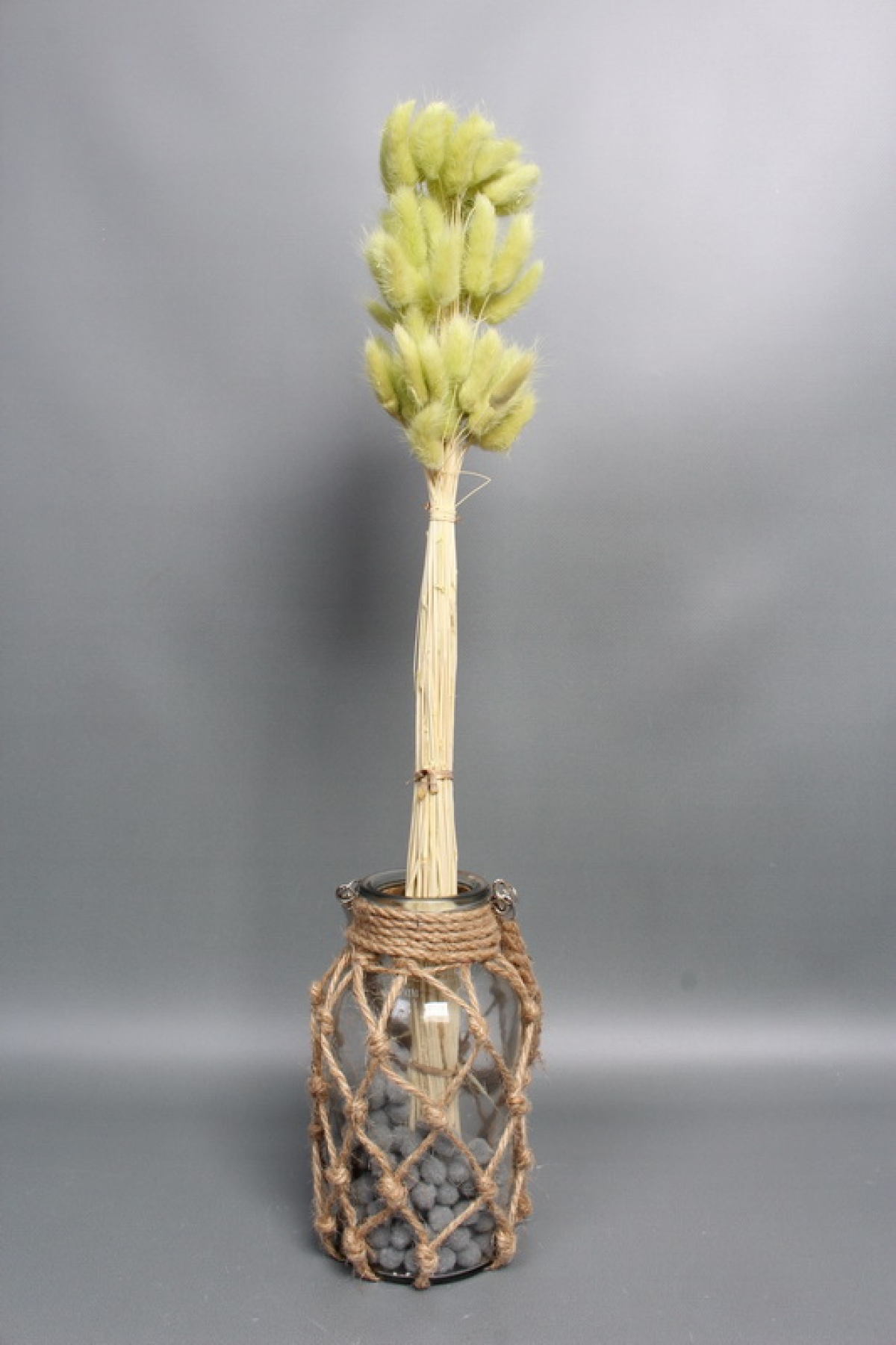 Сухоцвет "Лагурус", 60 шт в пучке, разм. цветка 5-7 см, светло-фисташковый  8247М