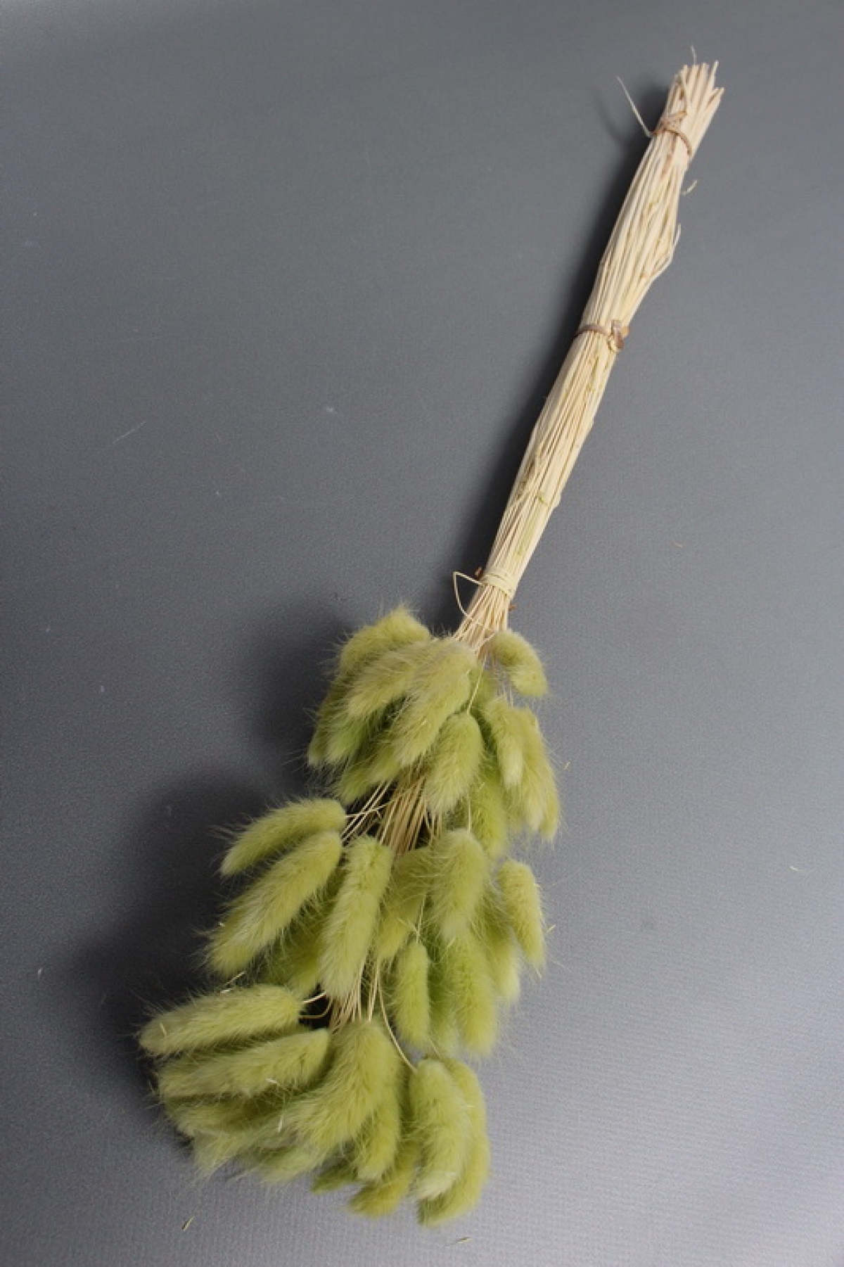 Сухоцвет "Лагурус", 60 шт в пучке, разм. цветка 5-7 см, светло-фисташковый  8247М