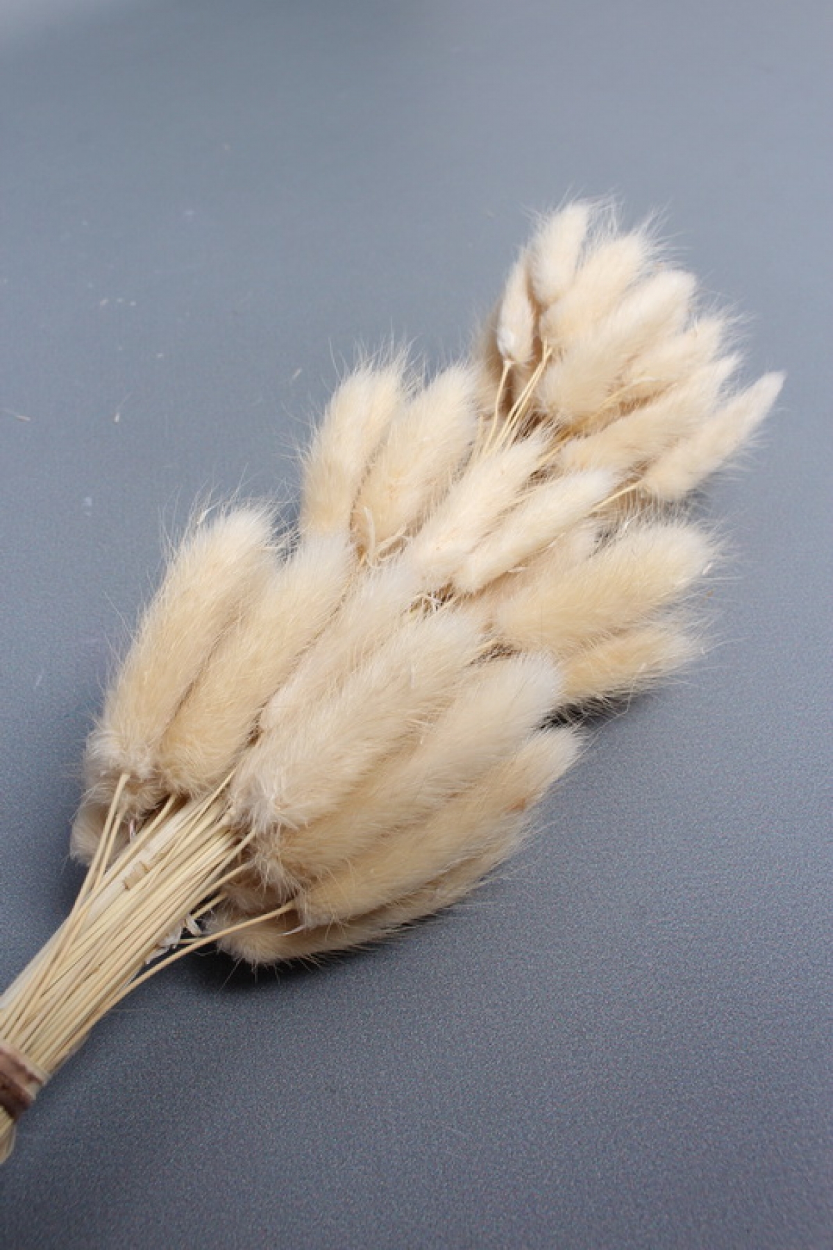 Сухоцвет "Лагурус", 60 шт в пучке, разм. цветка 5-7 см, светло-натуральный 4008