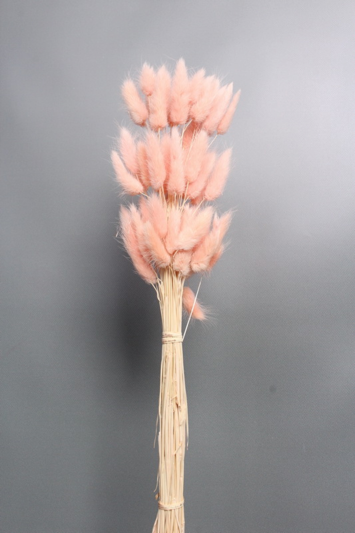 Сухоцвет "Лагурус", 60 шт в пучке, разм. цветка 5-7 см,  светло-розовый  8186М