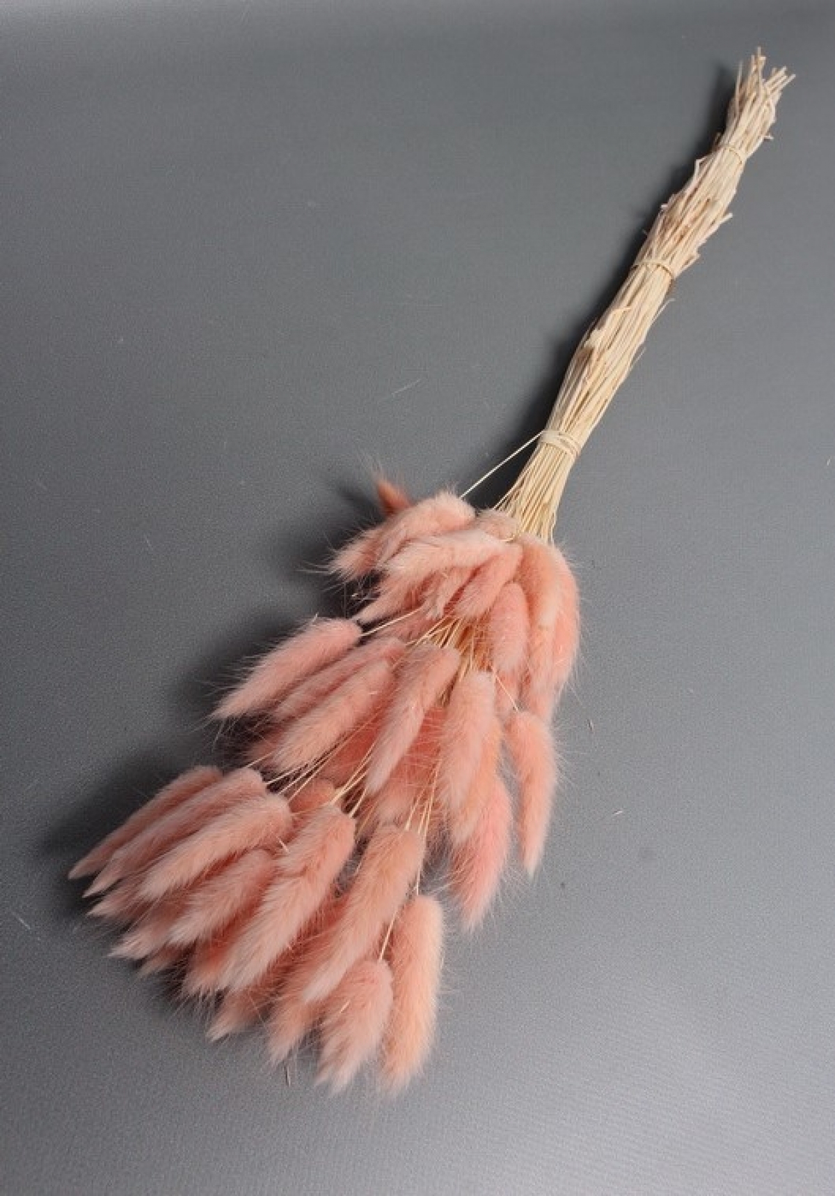 Сухоцвет "Лагурус", 60 шт в пучке, разм. цветка 5-7 см,  светло-розовый  8186М