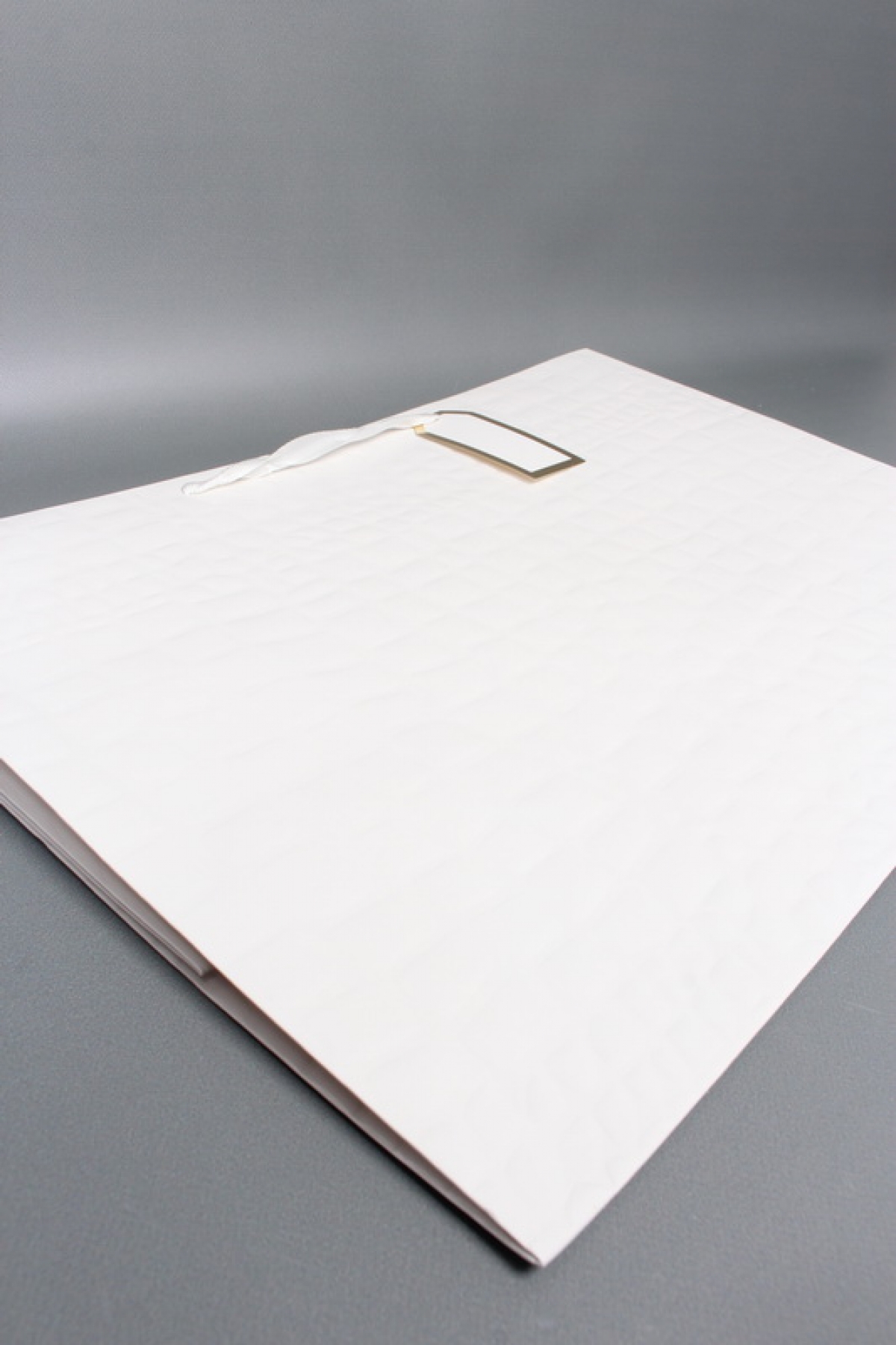 Сумка ЛЮКС белая кожа лак 54*37*23  L198