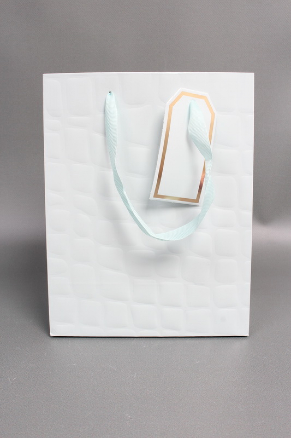 Сумка Люкс Лак тиснение кожа 18*23*10 голубой L226