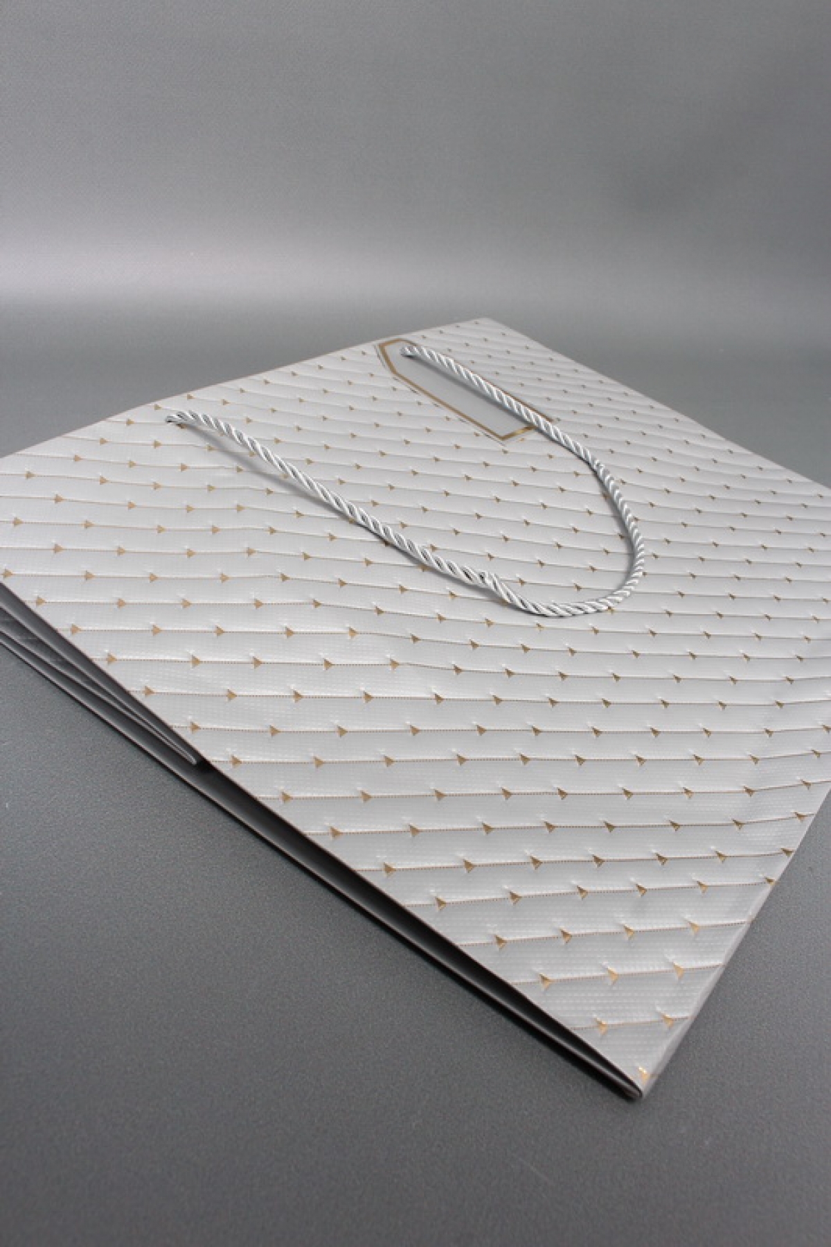 Сумка ЛЮКС Золотые стрелы 30*38*30 серебро L604