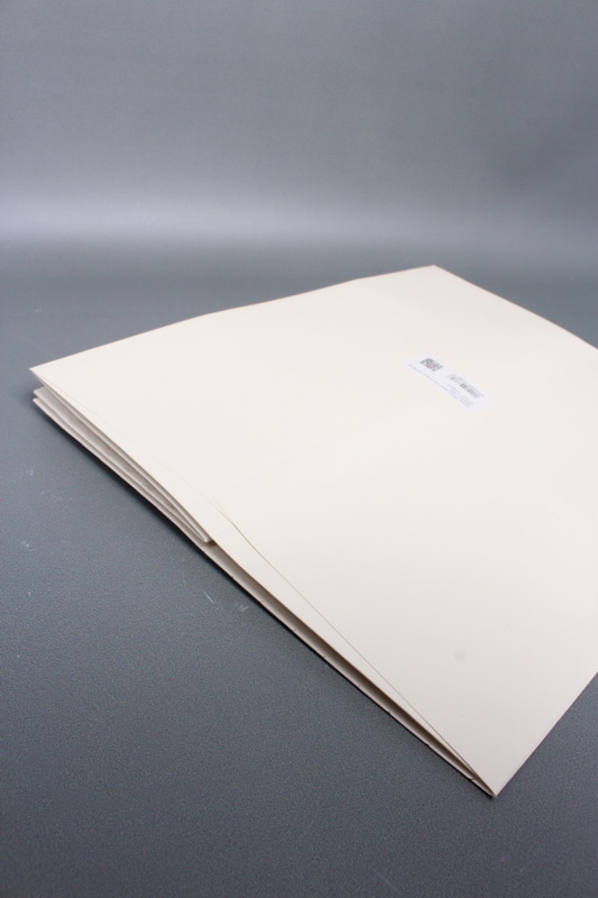 Сумка ЛЮКС Золотые стрелы 30*38*30 шампань L604