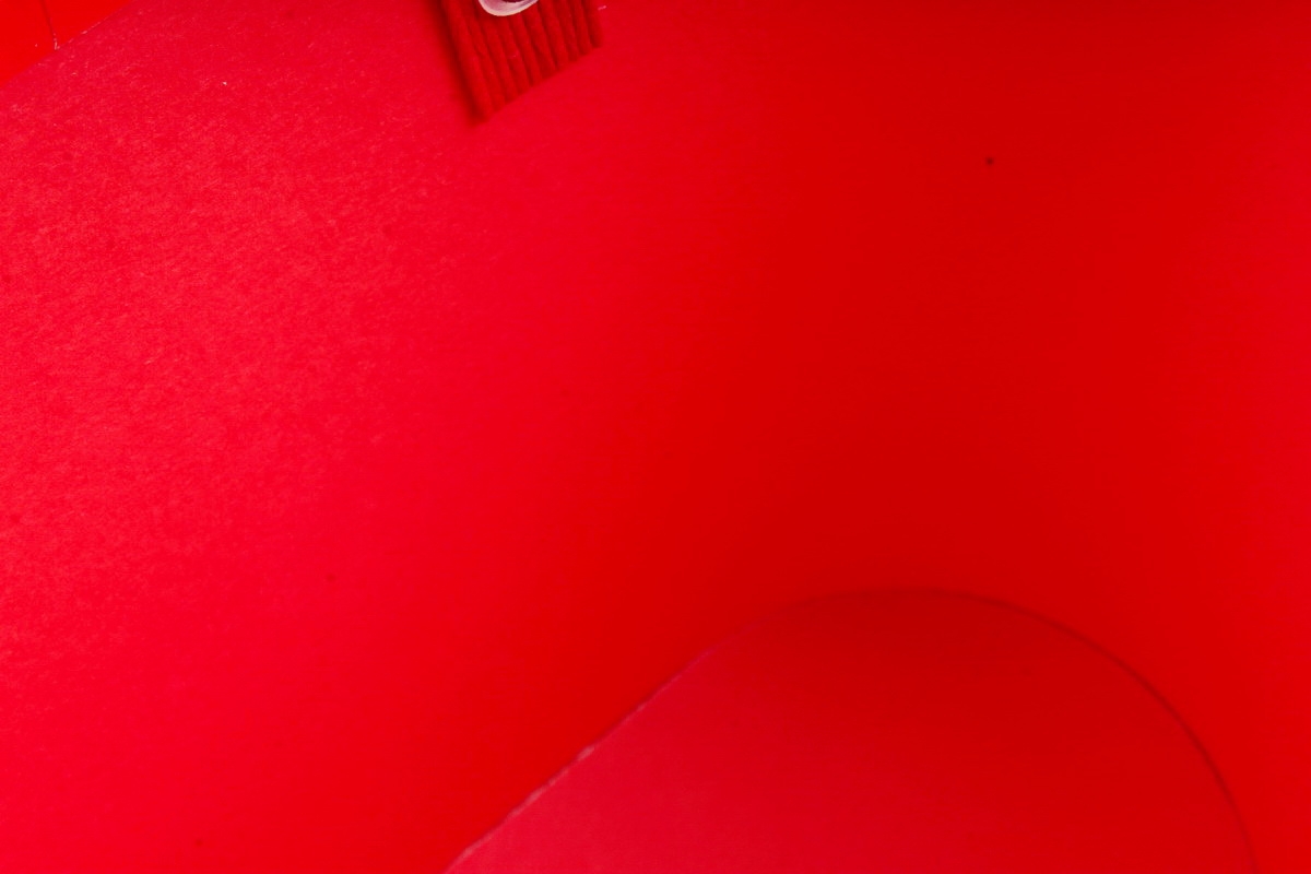Сумка под цветы с двумя ручками, картон, красный (W9627-red) 9470М