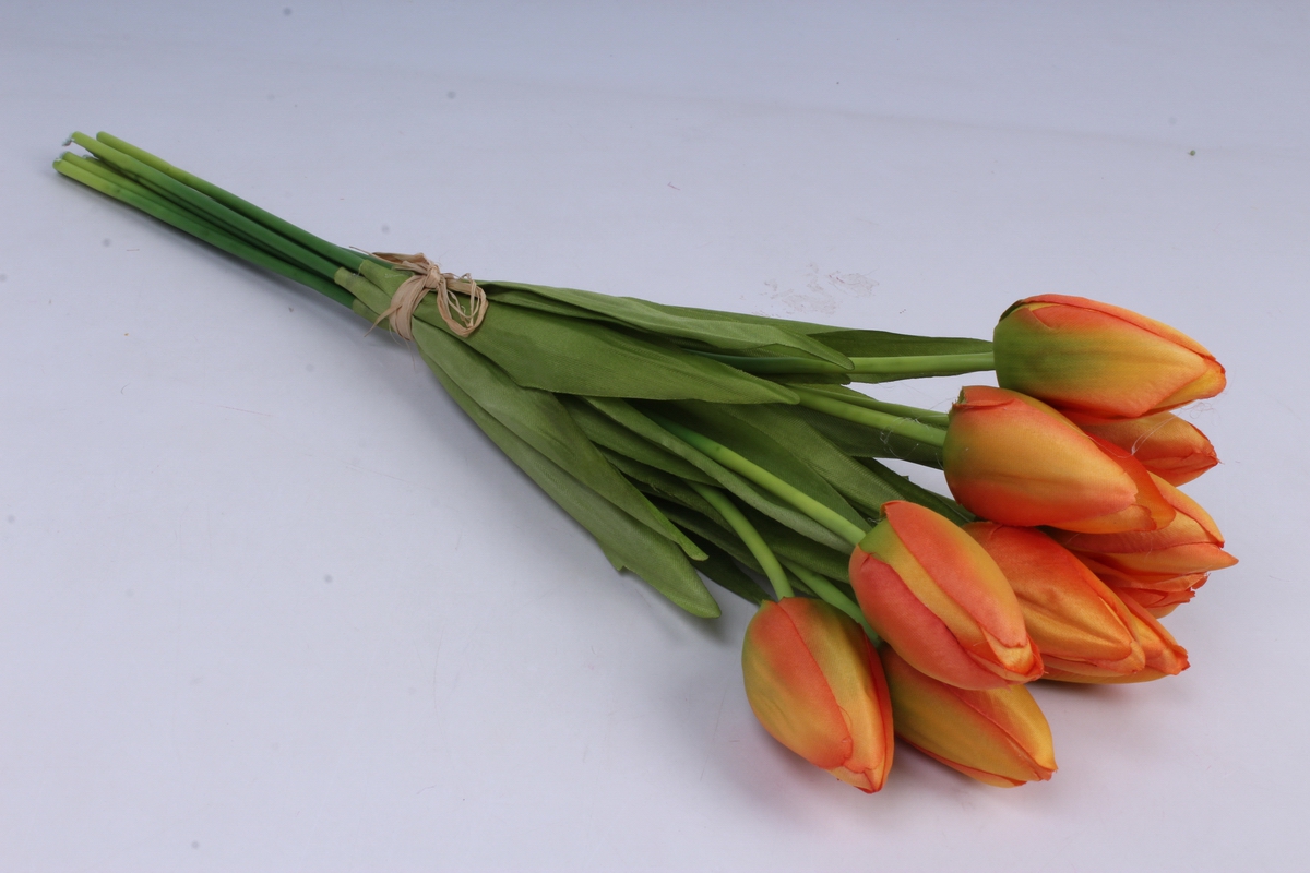 Тюльпаны перевязанные лентой