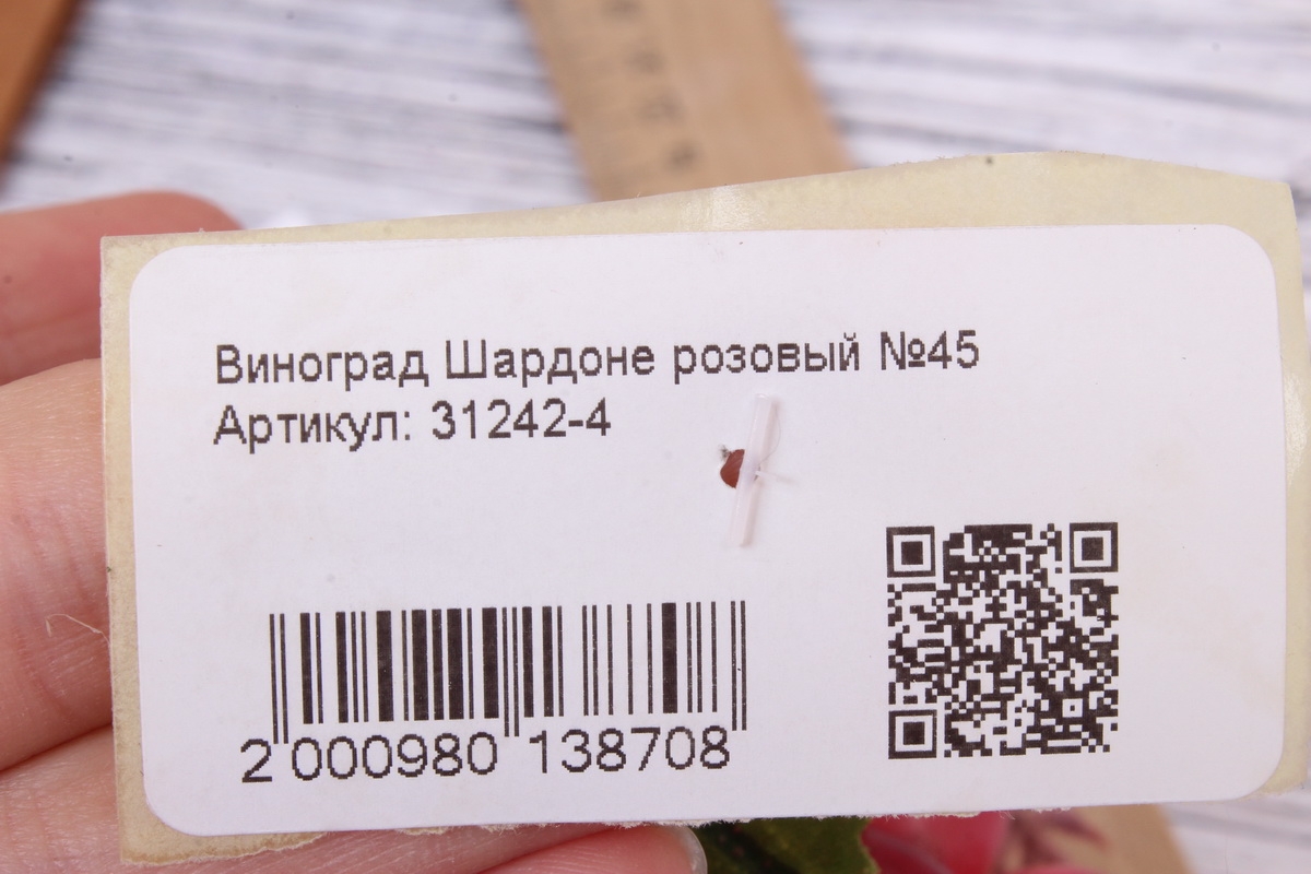 Виноград Шардоне розовый №45. 20 см.