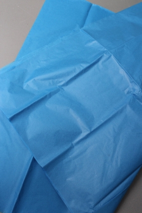 Бумага тишью 51*66см  Синяя в листах 17гр 10 листов  2860  PTQ2860 (М)