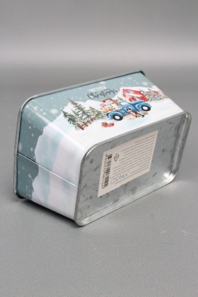 Декоративное кашпо "Сказочное настроение" 14.5X9.5XH6.5CM 12X7CM, металл 1124М