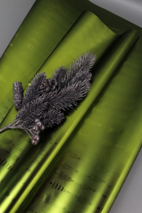 Флористическая пленка, металлическая Новогодняя, 40 мкр, 58 см х 10 м, зеленый 3968М