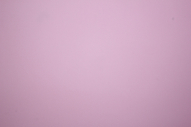 фоамиран - набор 5 листов, 30*35см, цвет 008 (светло-розовый)