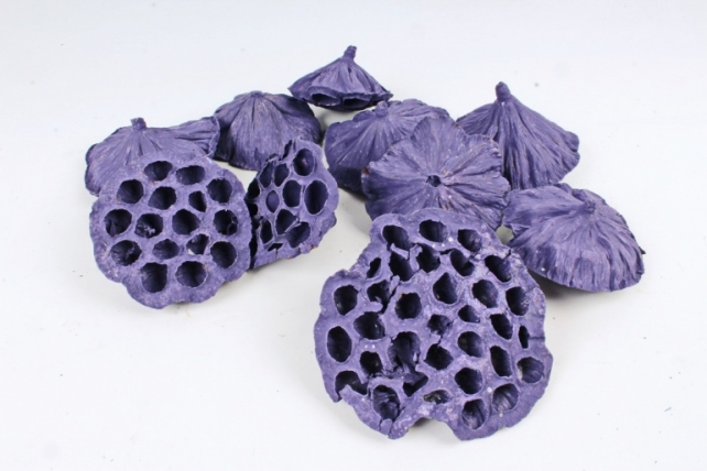 Головка лотоса сухоцвет сирень 10-12см (10шт в уп) CS18B611-PURPLE 3926