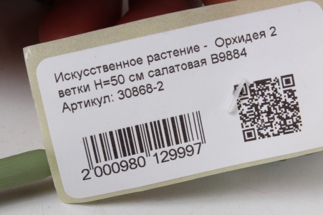 Искусственное растение -  Орхидея 2 ветки Н=50 см салатовая В9884