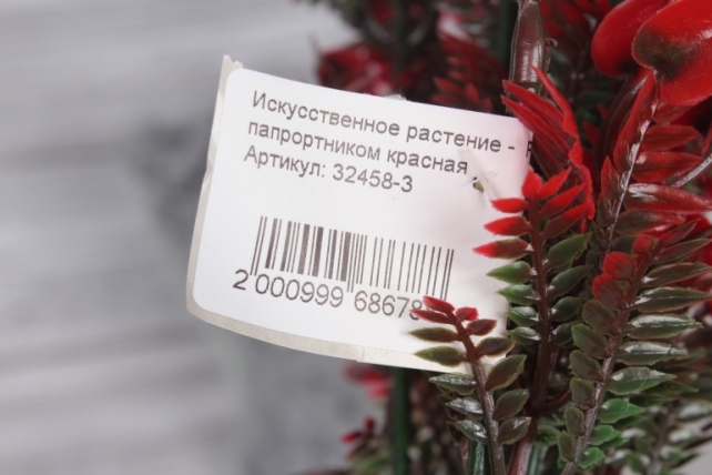 Искусственное растение -  Росянка с папрортником красная