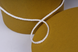 кор. набор (2шт) шляпная под цветы с ручкой крафт горчица(d=18см,h=20см) ццв4