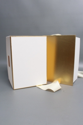 Коробка подарочная одиночная 1шт - "Изящество" 24*17*16,5  шампань  6686М