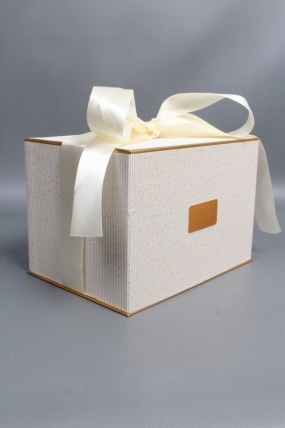 Коробка подарочная одиночная 1шт - "Изящество" 24*17*16,5  шампань  6686М