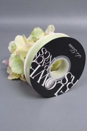 Лента атласная полиэстер 2 см*35 ярдов, пастельно-зеленый 0487М