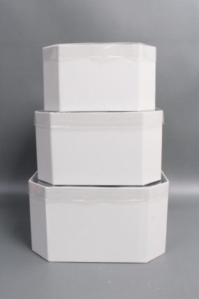 Набор коробок, с прозрачной крышкой, 3 шт., 24,5x24,5x13,5 см/ 22x22x12 см/19x19x10,5 см, белый2453М
