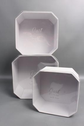 Набор коробок, с прозрачной крышкой, 3 шт., 24,5x24,5x13,5 см/ 22x22x12 см/19x19x10,5 см, белый2453М