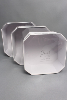 Набор коробок, с прозрачной крышкой, 3 шт., 24,5x24,5x13,5 см/ 22x22x12 см/19x19x10,5 см, белый2453М