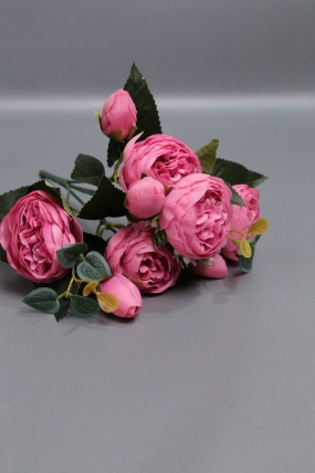 Пионы Ретро низкие малиновые 30 см